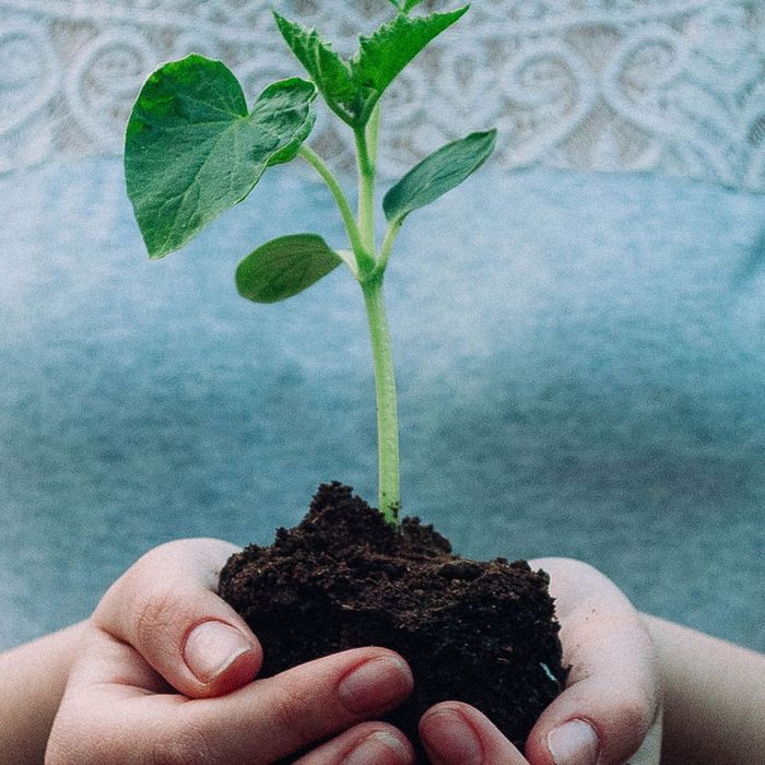 Klimaschutzmanagement - Projekte des Landkreises zur CO2-Einsparung