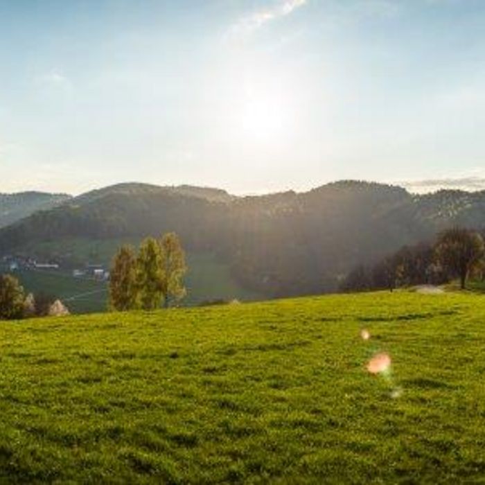 Landwirtschaftsrecht - 