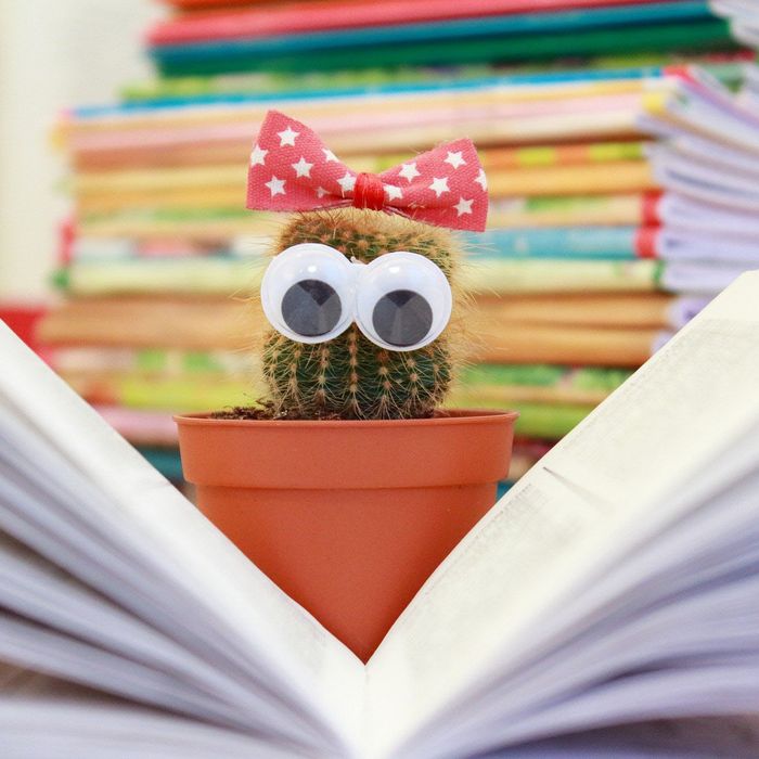 Leihbörse - vom Amt für Kinder und Familie