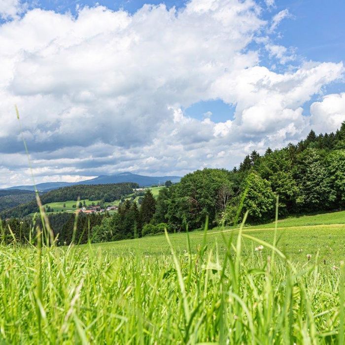 Grundstücksverkehr - 