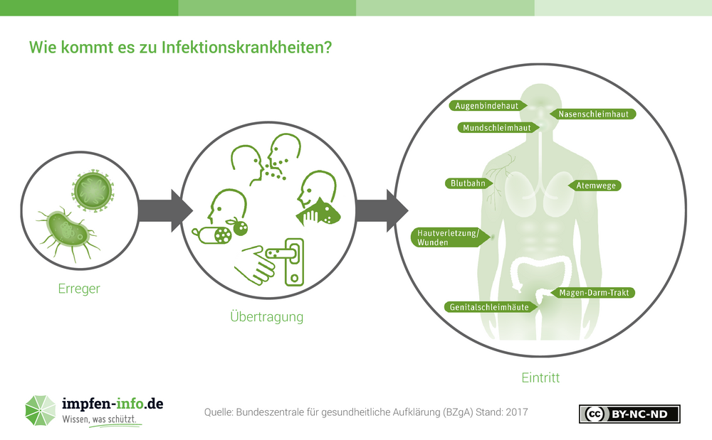 WIE KOMMT ES ZU INFEKTIONSKRANKHEITEN