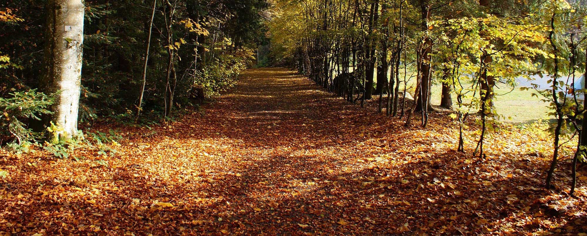 Bodenschutz / Altlasten - Umsetzung der Bodenschutzgesetze