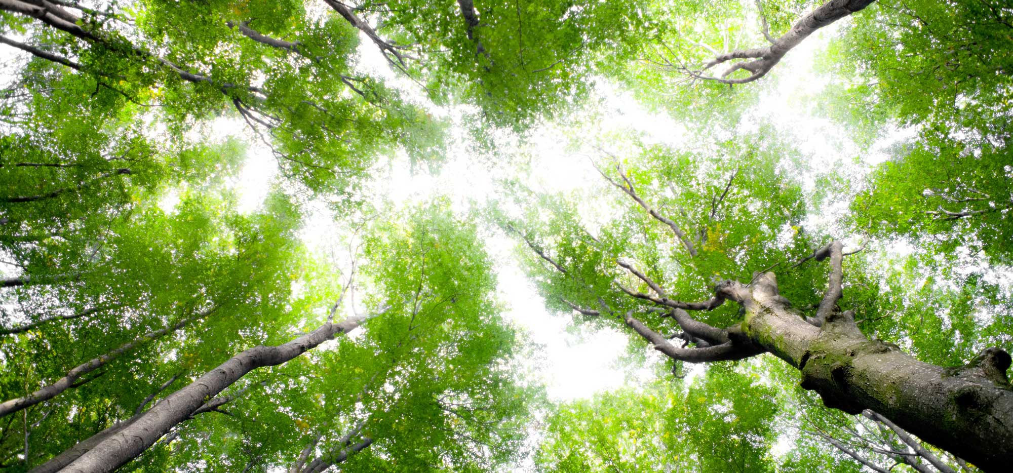 Immissionsschutz - Luftverunreinigungen, Geräusche, Erschütterungen, Licht, Wärme, Strahlen