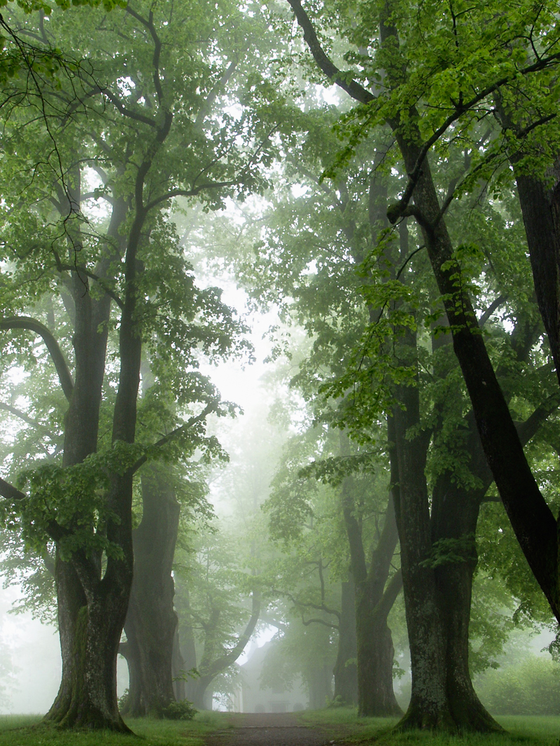 Schutzgebiete - Landschaftsschutzgebiete - Naturdenkmäler - geschützte Landschaftsbestandteile