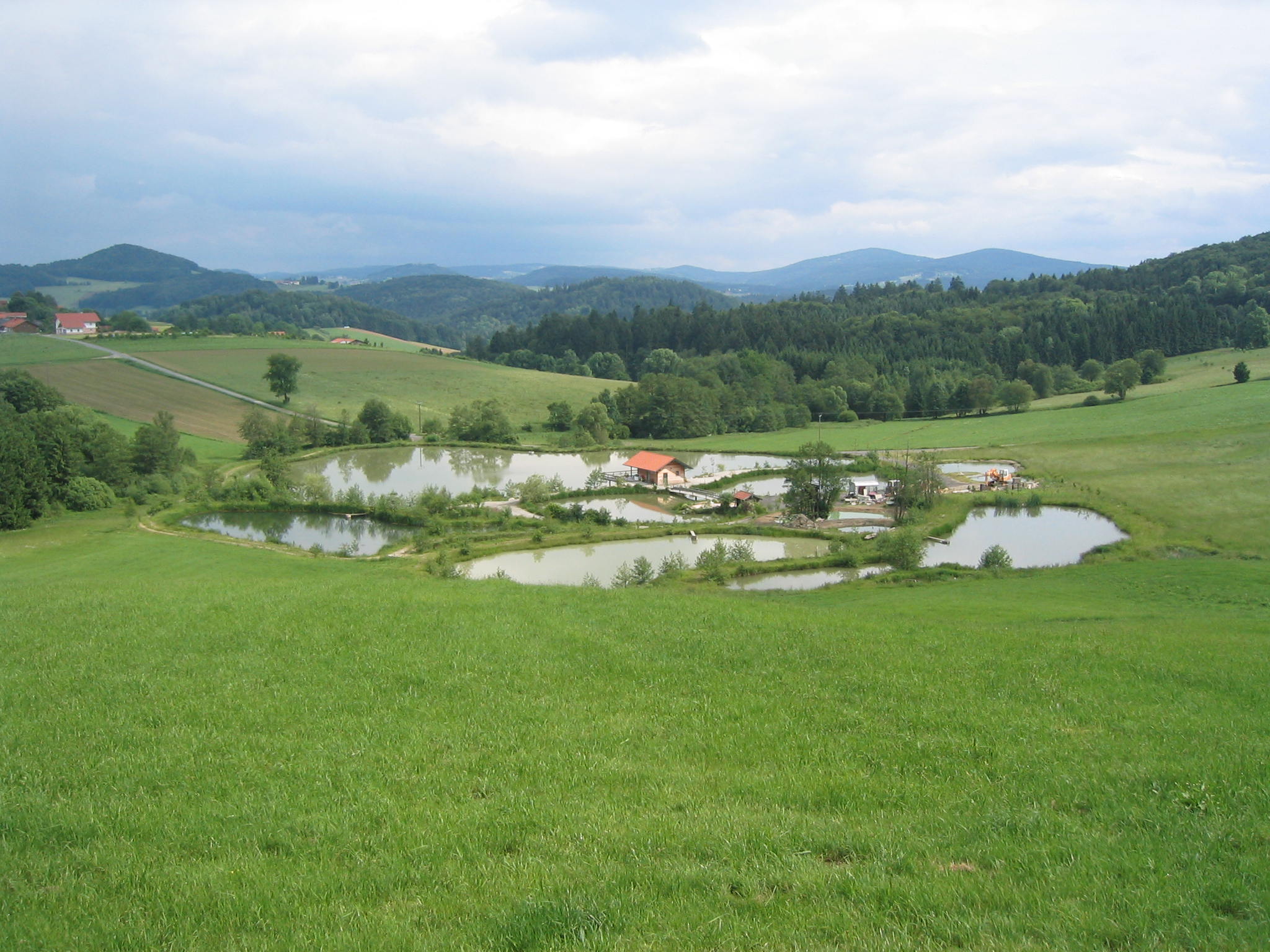 Teichanlagen - Fischteichanlagen - Landschaftsweiher 