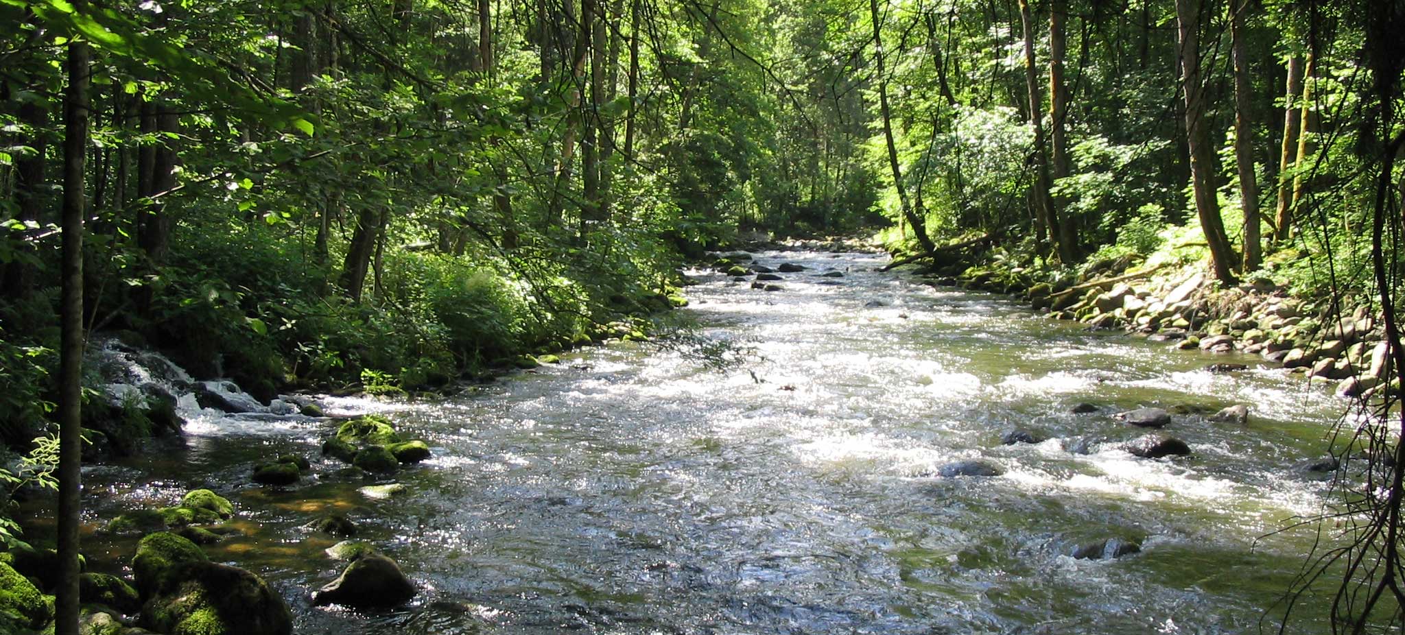 Wasser - Schutz des Grundwassers und der Oberflächengewässer