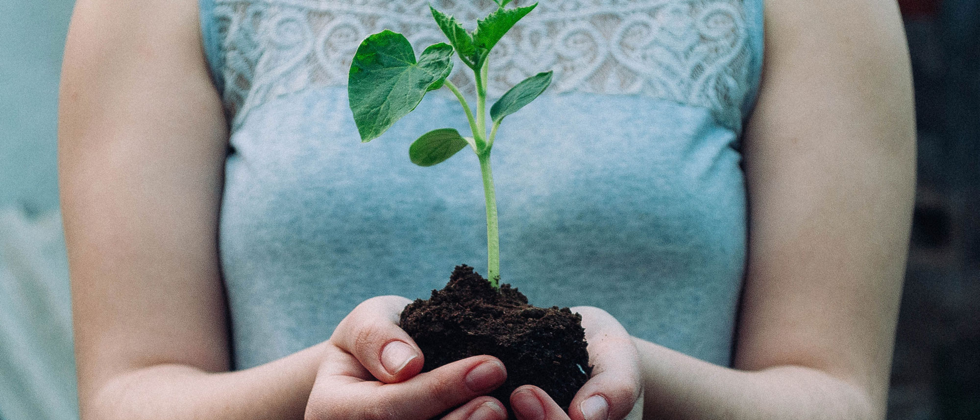 Klimaschutzmanagement - Projekte des Landkreises zur CO2-Einsparung