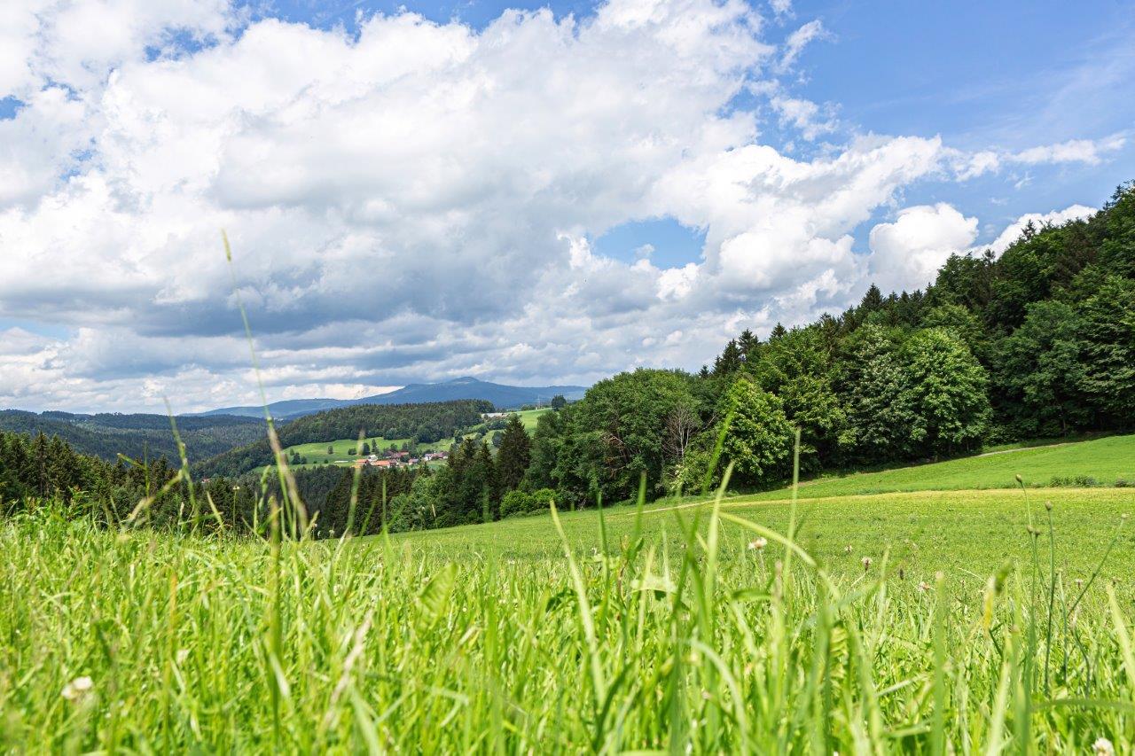 Grundstücksverkehr - 